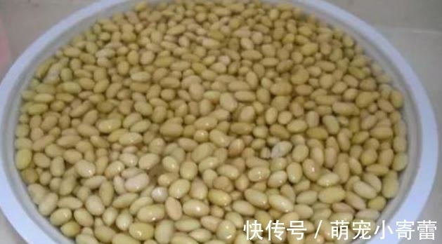 豆腐脑自制方法:不用石膏,口感嫩滑雪白漂亮,1斤黄豆全家管够