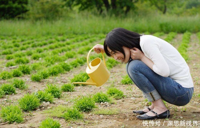 养花|养花不用施肥,将此物扔盆栽里,叶子又绿又亮,花开爆盆