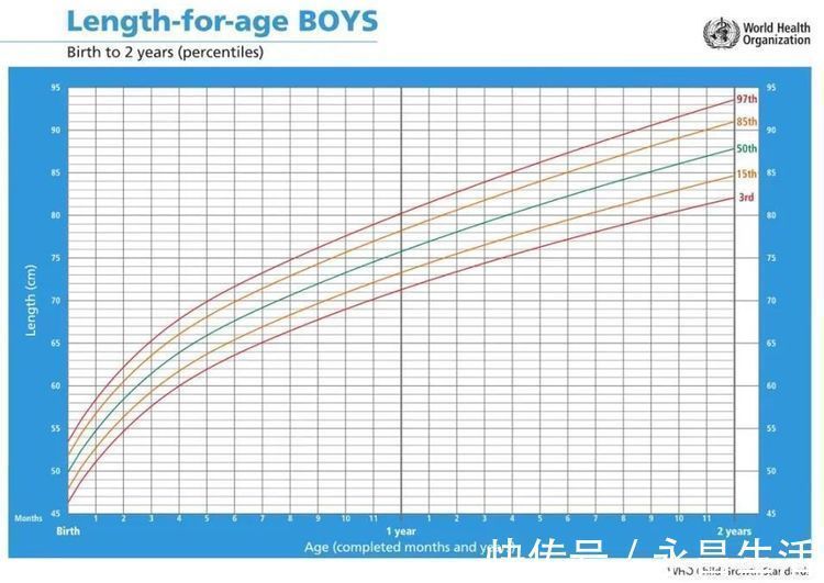 生长曲线|孩子个子矮是“发育晚”还是“发育迟缓”?生长曲线会说话