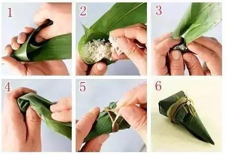 叶子|7种叶子，适合包粽子，操作方便还有竹香！