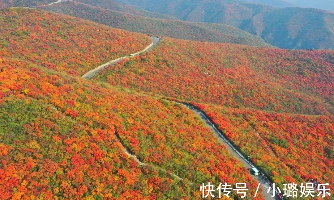 坐标|自驾游河南，赏遍中原红叶，趁免票，赶紧去这6个最美景区