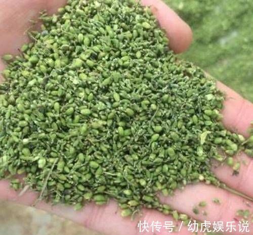 肚子|一旦查出糖尿病,敞开肚子吃4物,血糖或会“悄悄降”