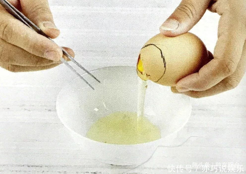 她用废弃的蛋壳“孵出”美丽的多肉植物,实在太迷你可爱了!