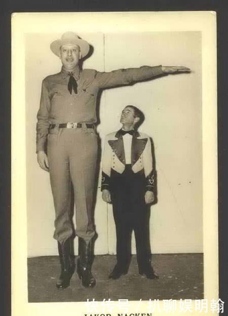 身高|二战趣闻:2米3的德军被身高1