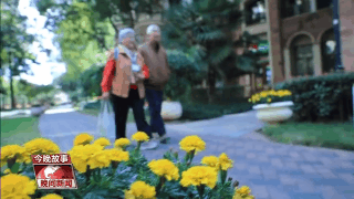  耳机|读懂了这三句话，你就读懂了爱情