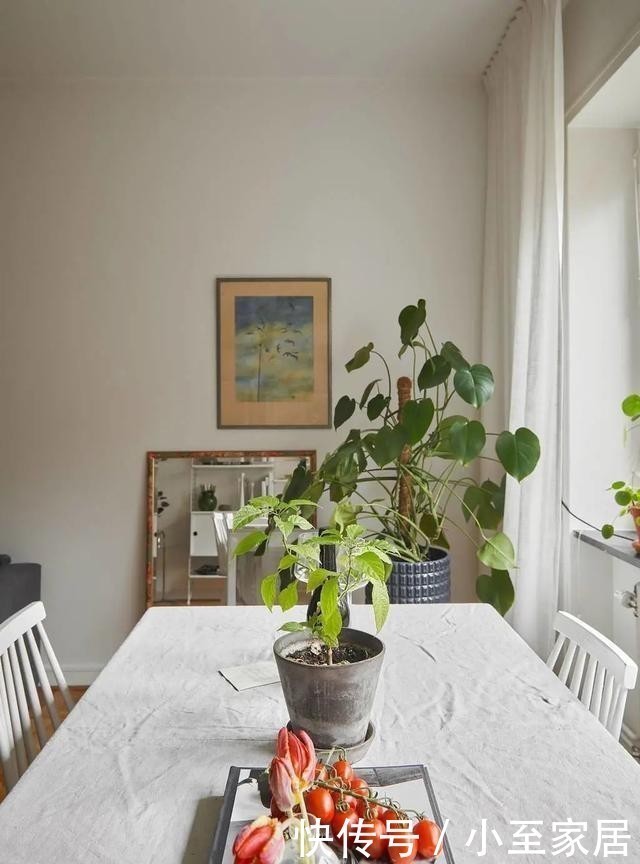 范儿|47平米充满植物的家,小户型也能打造奇幻北欧风!