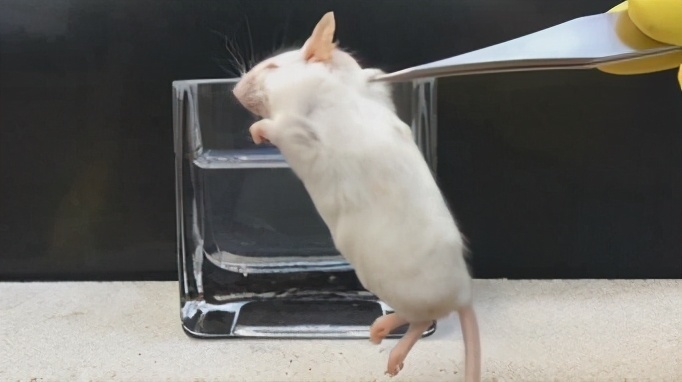 指甲|23个冷知识,可能让人产生怀疑,但却真实存在着