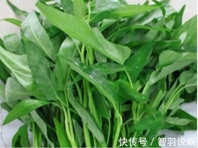 养花不如种菜,阳台盆栽几盆,“每天”采摘新鲜菜,全家都够吃!