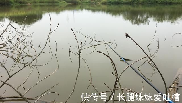 风口处|没有水草就不能钓鱼了吗根据这4点来找鱼,下竿之处即咬钩