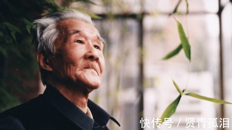 红楼梦@红楼一梦世上再无周汝昌,无人再懂《红楼梦》