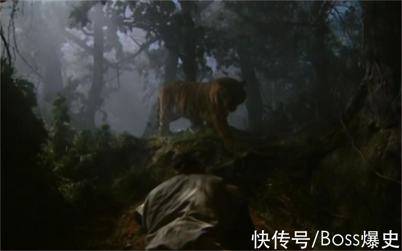 武松打虎#丁海峰拍武松打虎时:我万一被吃了咋办?张纪中:买了10万的保险