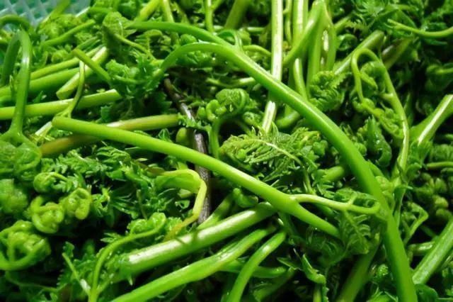 蚕豆|这8种蔬菜要少吃，建议日常减少食用量，身体健康很重要！