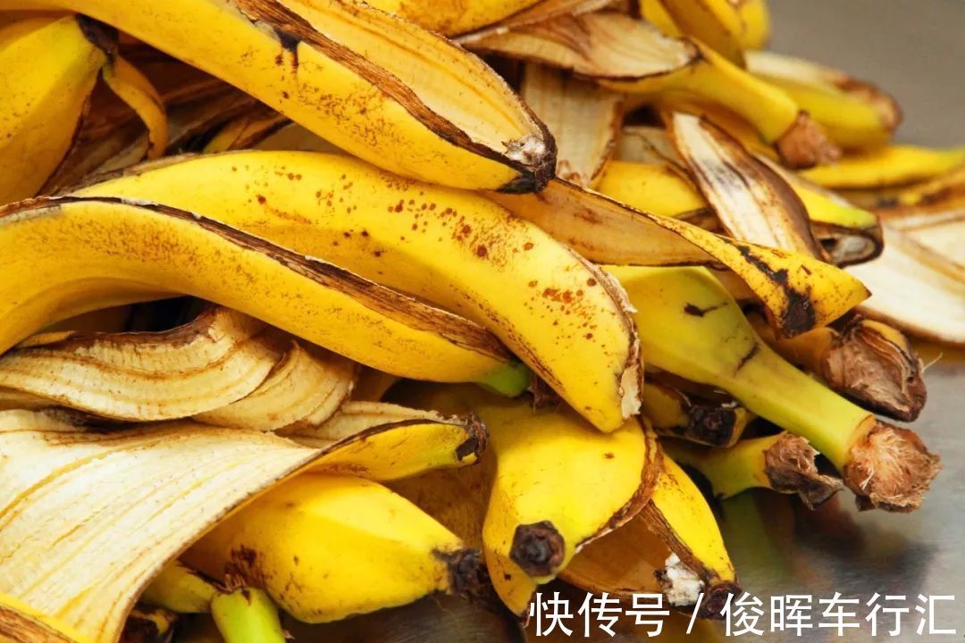 香蕉皮,天然钾肥,用对方法养花,有营养、能驱虫、清洁叶子