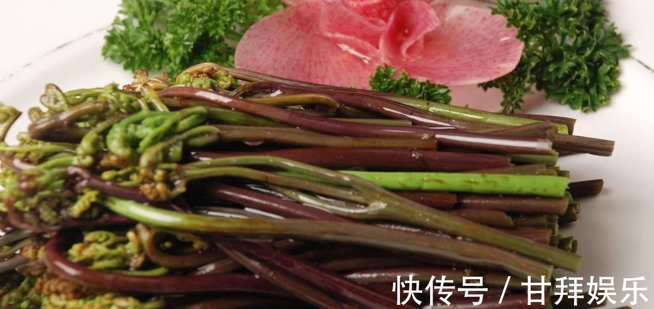 野菜|农村常见的一种野菜,不仅可以食用还能拿来当做驱虫剂使用