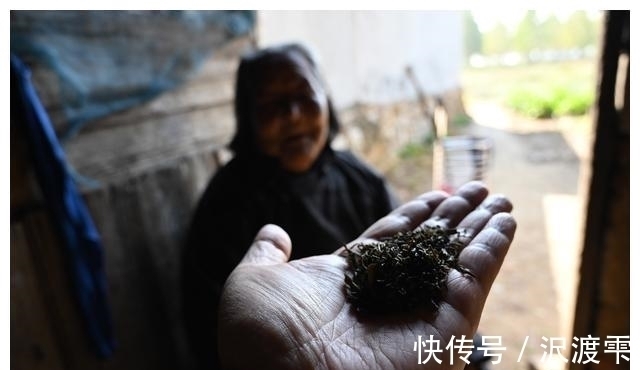秘诀|100岁奶奶,饭前习惯特殊,至今满头黑发,看长寿秘诀是啥