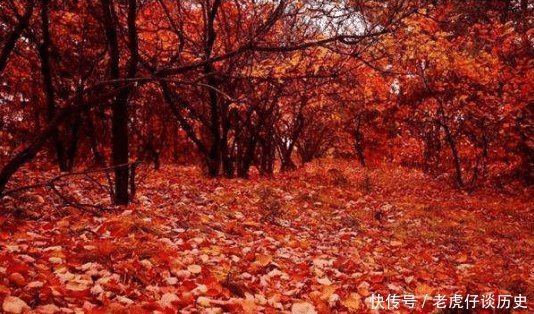 杜牧最出名的一首诗,人人倒背如流,却有