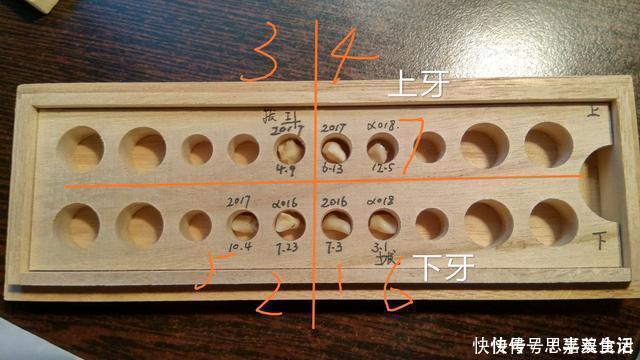 孩子|送给孩子正在换牙的父母们，你们一直都做错了什么？