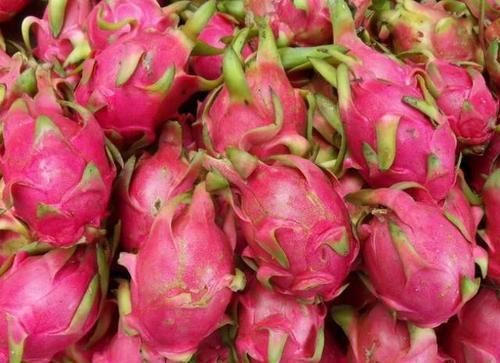 此物是天然“泻药”，没事吃2口，排出黑臭宿便，体重嗖嗖降