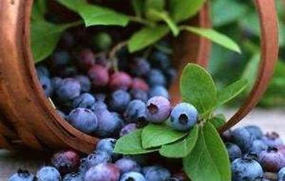 子宫|老得慢的女人，都在“偷偷吃”的6种食物，润肤养颜，子宫更健康