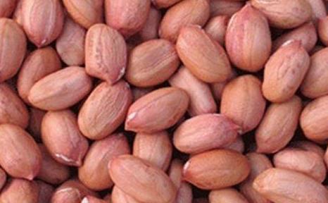 健康|吃花生好处多,但4种人不能吃,不然会危害健康,别让无知害了你
