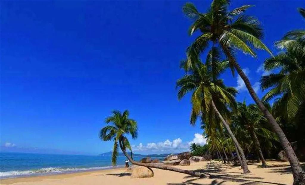 海滨风光，椰风海韵，陪您温暖过冬，首选旅游之地