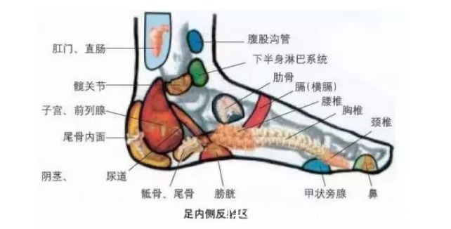 脚背处|女人踩踩自己的脚，不容易得妇科病，为什么？