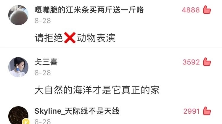 对动物|她直播分娩，引2.6亿人围观，最触目惊心的一幕还是发生了……