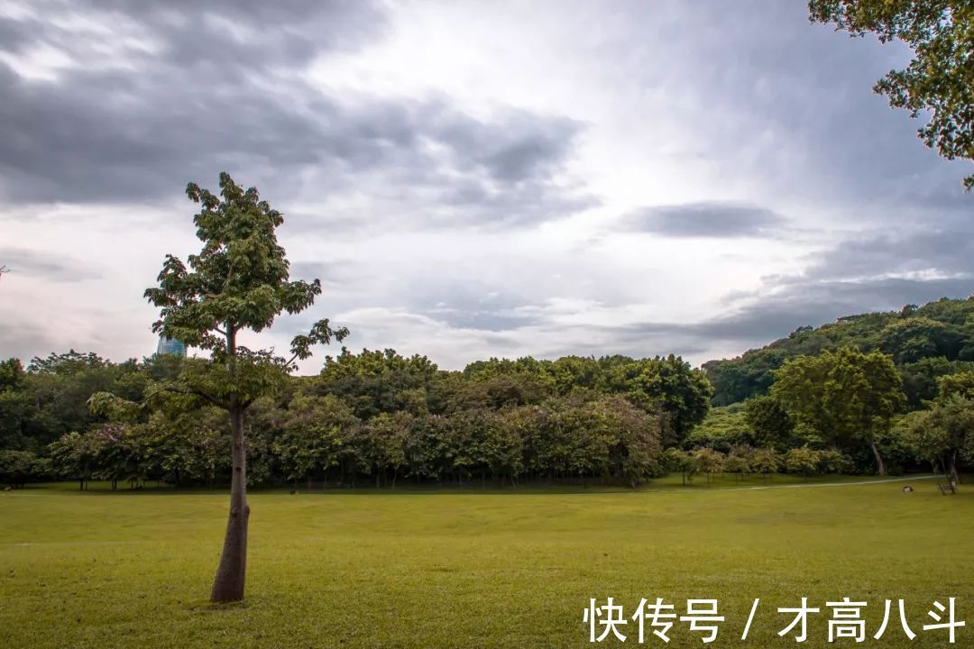 牡丹亭·写真!《牡丹亭》中的唯美句子,文艺典雅,丝毫不输诗词