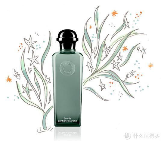 爱马仕 雪白龙胆 一款既热门又苦到入魂的香水