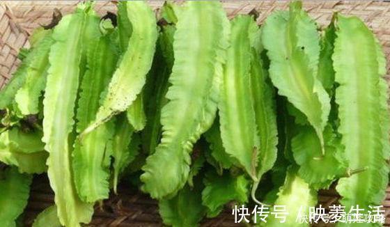 陈医师|人到中年想长寿,多吃几种食物,疏通血管,嫩肤养颜,好处多多