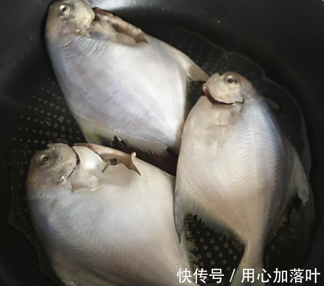香煎小白鲳，操作简单味道鲜美！
