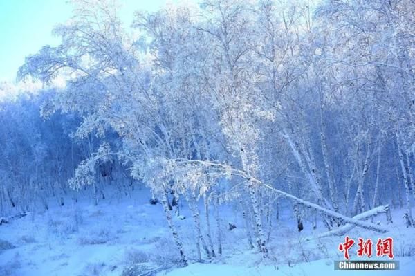 赴一场与冬天的约会|今日大雪 | 约会