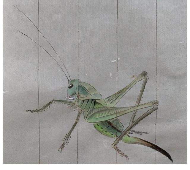 夏雨&他是明星里面画画最好的,谦虚自嘲只是爱好,网友:堪称专业画家