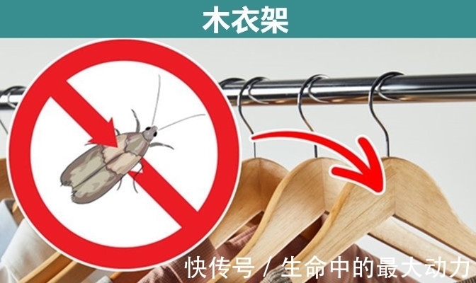 常见的9个物品背后,隐藏着许多人并不知晓的有趣用途