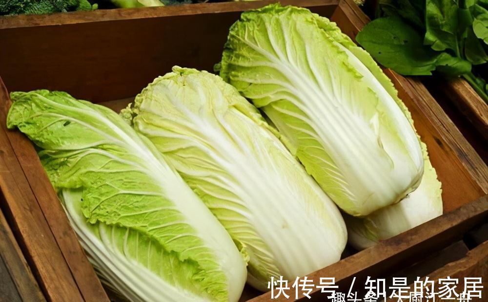 保存白菜其实很简单，教您2招，放半年照样新鲜，真的是太实用了