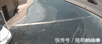 好好学习|“在拼夕夕上买了驱蚊手环，这蚊子是怎么回事？