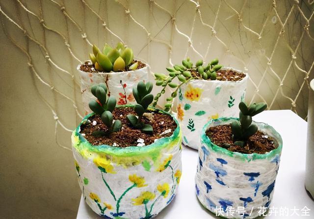 自制|在家用这4种东西自制花盆,简单方便还好看!透气性高养花好