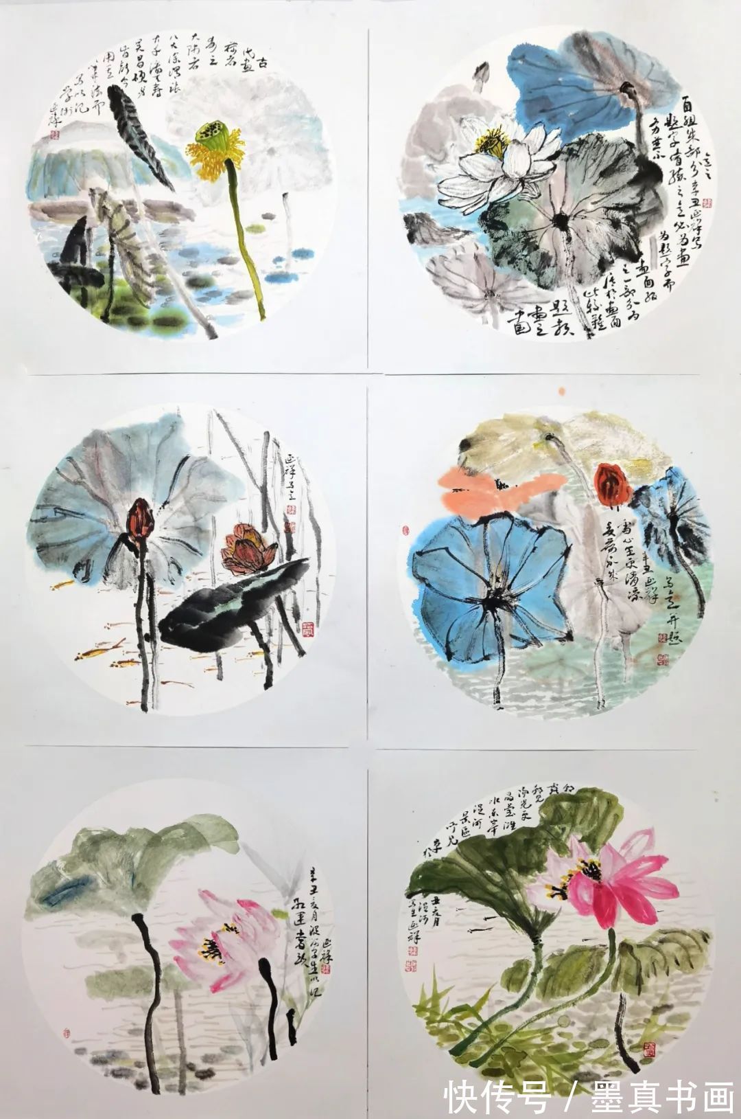 荷花写生稿&「韩延祥」|丹青追梦 水墨本色-中国当代书画名家个人云展览
