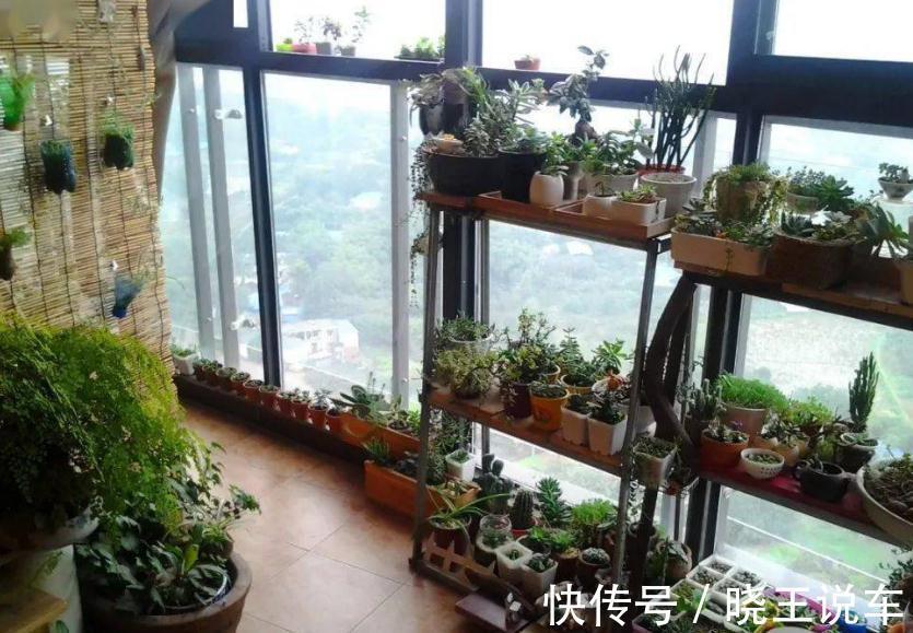 掌握住5个技巧,有没有经验无所谓,却能轻松养好花