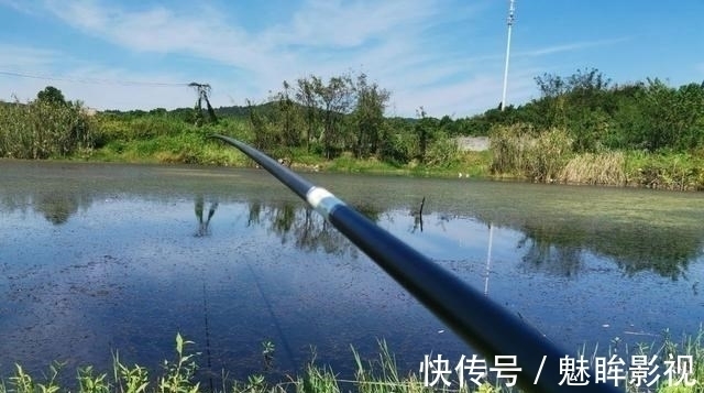 鲫鱼|都知道钓鲫鱼要找水草,但很多人忽略了第二步,难怪不上鱼!