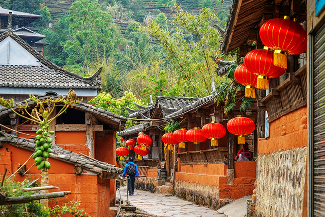 普洱市 普洱:“象”见恨晚的地方