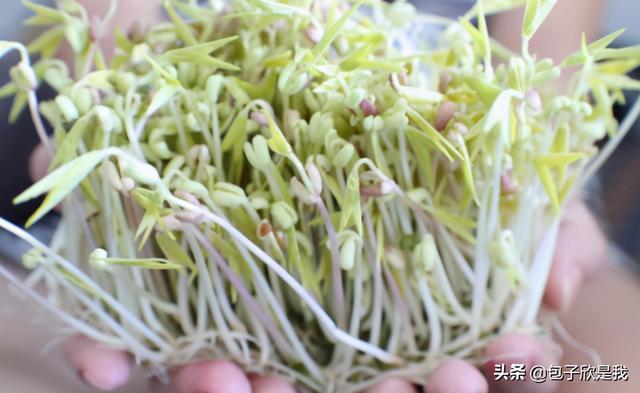 足三里穴|怎么帮助宝宝长高高学会这些,宝宝长高不愁