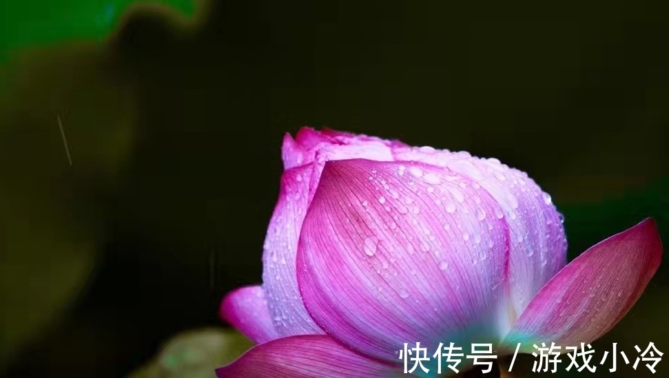 陶弘景!全篇仅有六十八个字,景色与雅趣共存,是骈文中的必读精品!