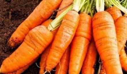 菠菜|胡萝卜和此物一起煮,失眠好了,视力好了,有助血管畅通