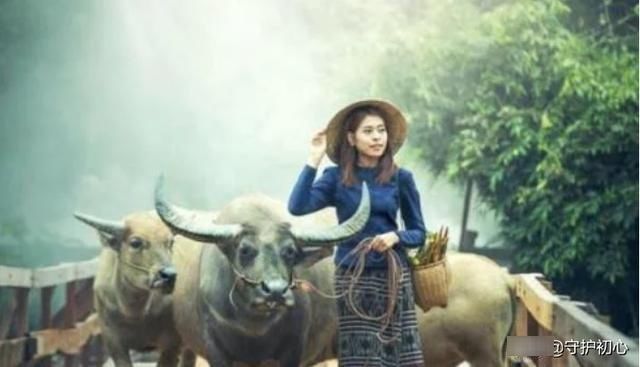 俗语|俗语“老牛吃嫩草”,下一句也很经典,却很少有人知道