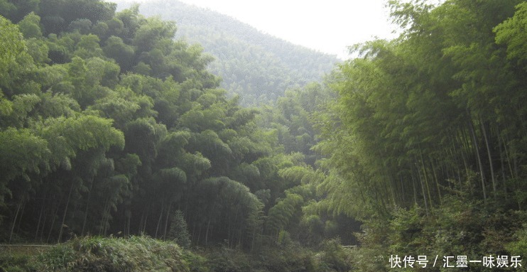 本事|佛法众人中,真正有本事的人,一般有两大特点