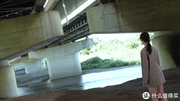 维斯|《假面骑士利维斯》我们兄妹，都是假面骑士~