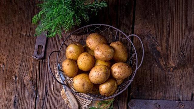 减肥|女性“152-175cm标准体重对照表”公布,可能多数人未能达标