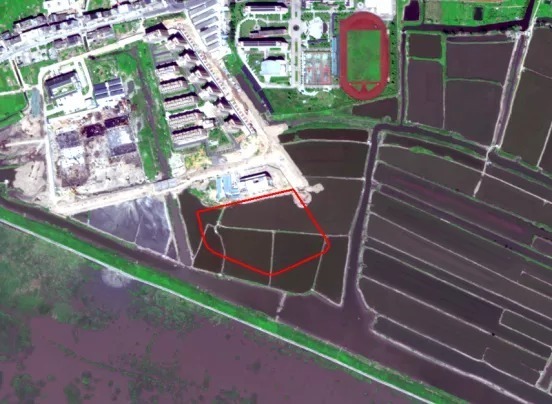 洞头区|洞头区大门岛有一宗地成交,成交楼面价940元/㎡……