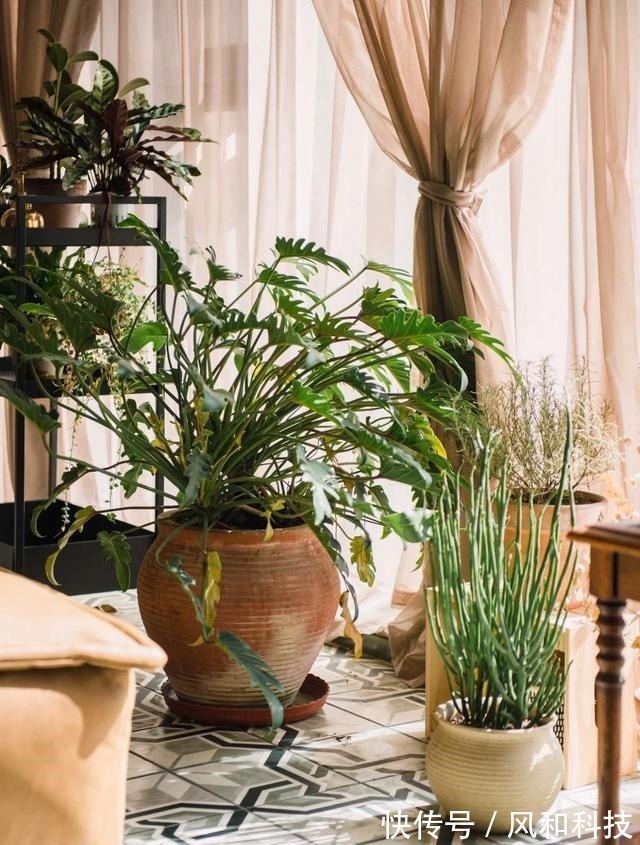 挂画|90后小姑娘的独居公寓,阳台打造成森林,一个人住也舒服